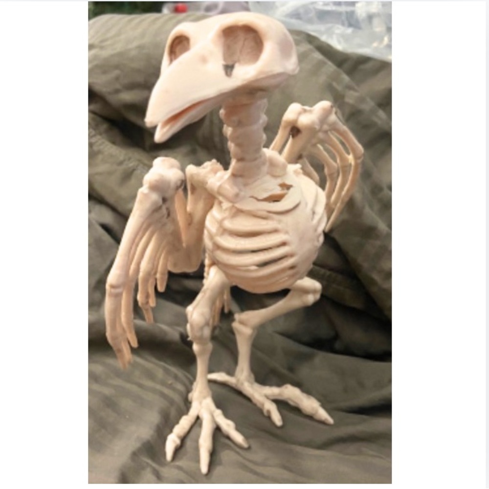 Decor Halloween Skeleton Crow Raven Bird Decoration Spooky Goth Punk Skull Bones